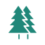 SKIKK plants trees